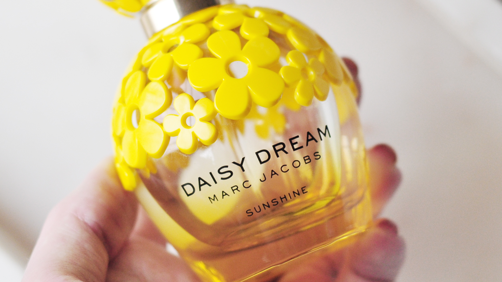 Daisy Dream Sunshine