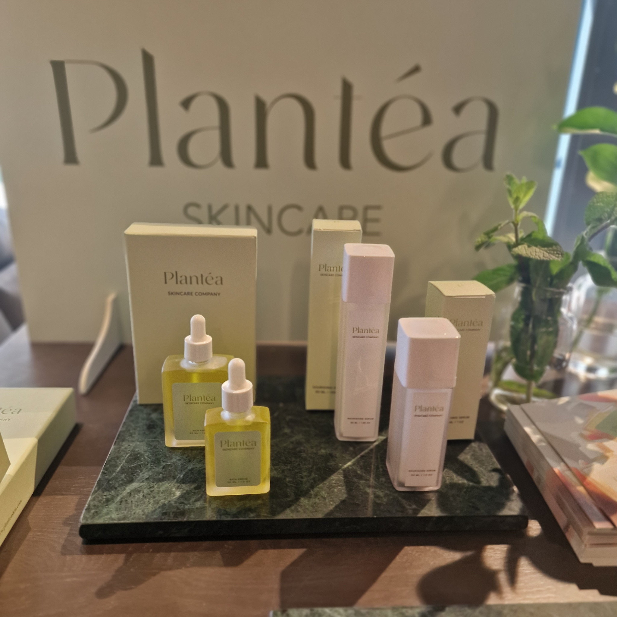 plantea